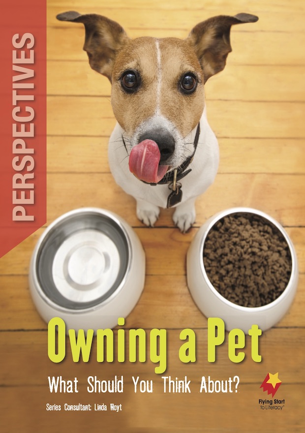 Perspectives Owning a Pet: What Should you Think About?